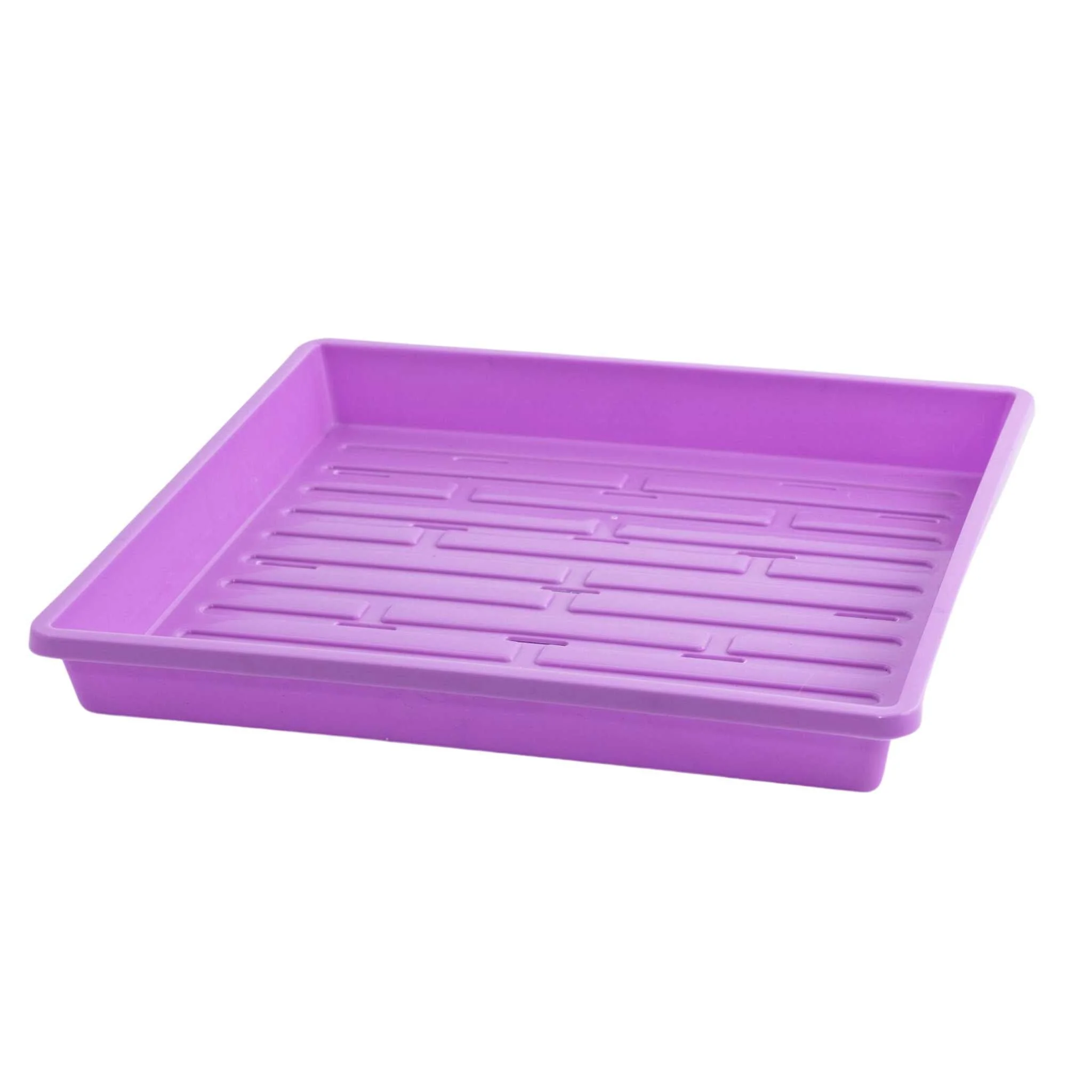 1010 Shallow Seed Trays - Image 12
