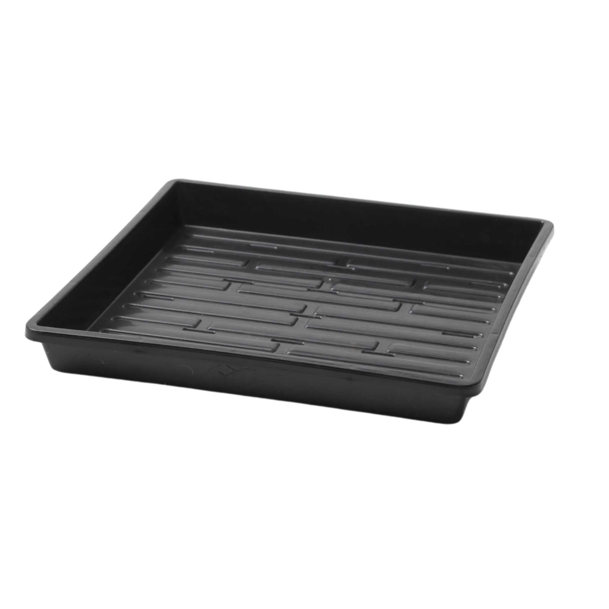 1010 Shallow Seed Trays - Image 13