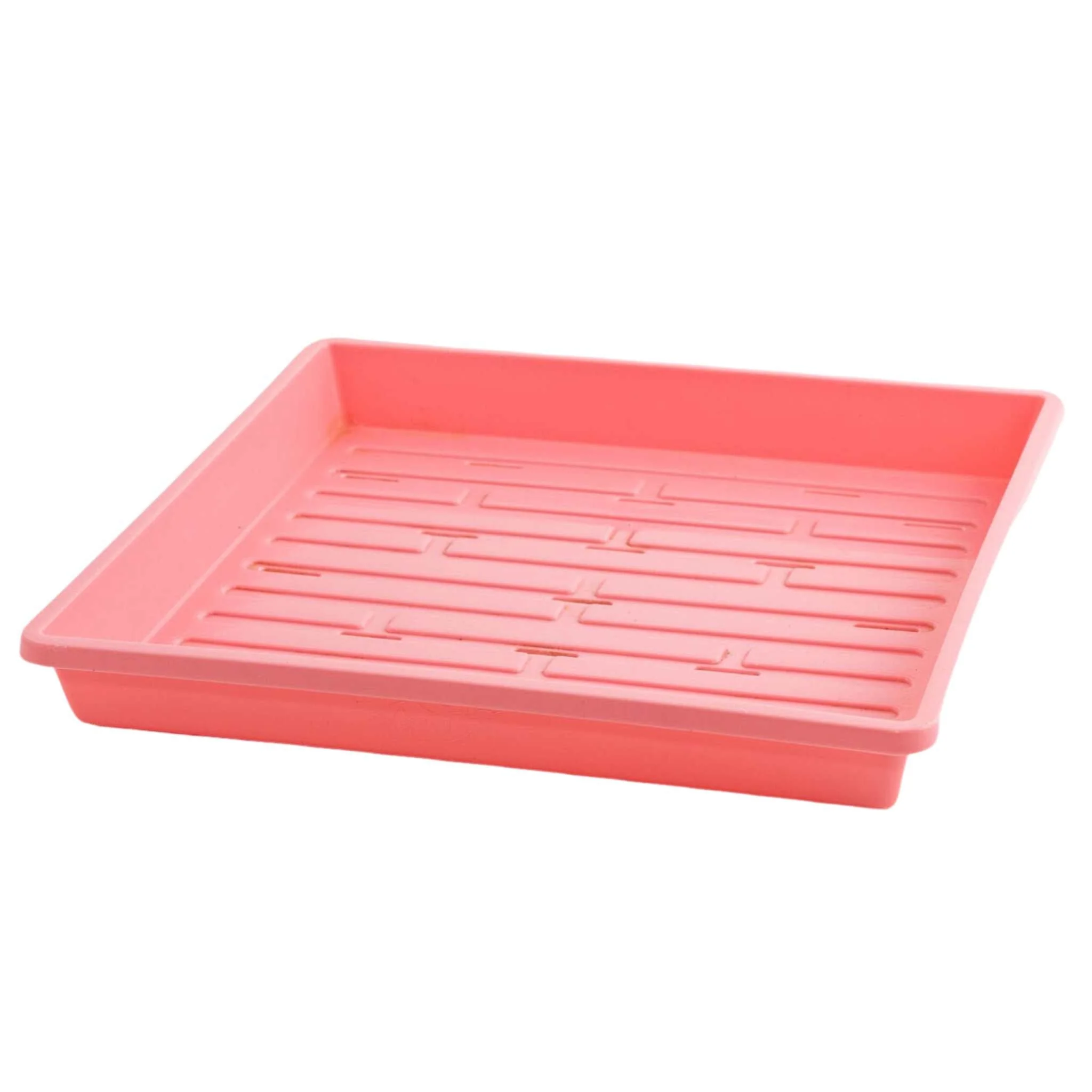 1010 Shallow Seed Trays - Image 3