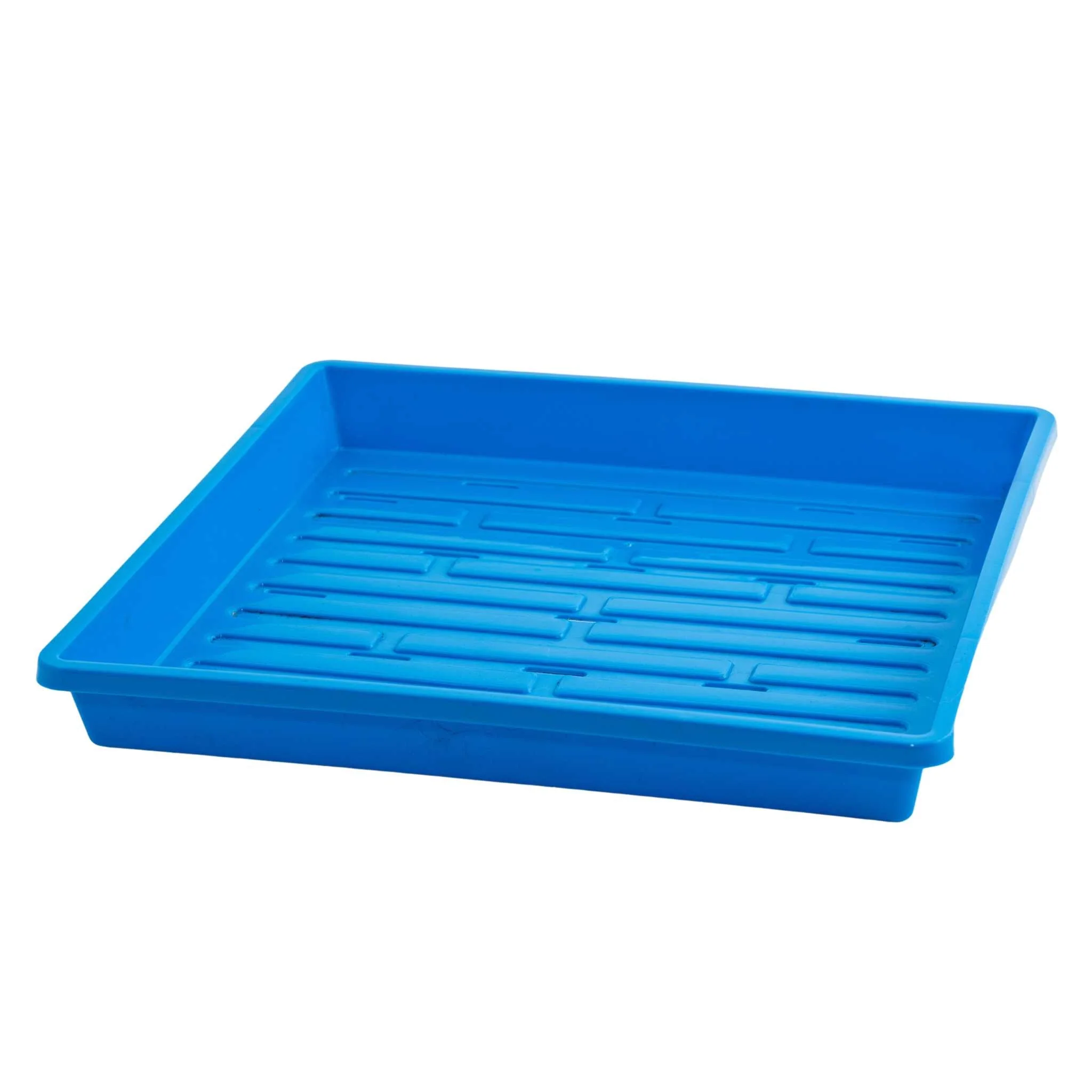 1010 Shallow Seed Trays - Image 5