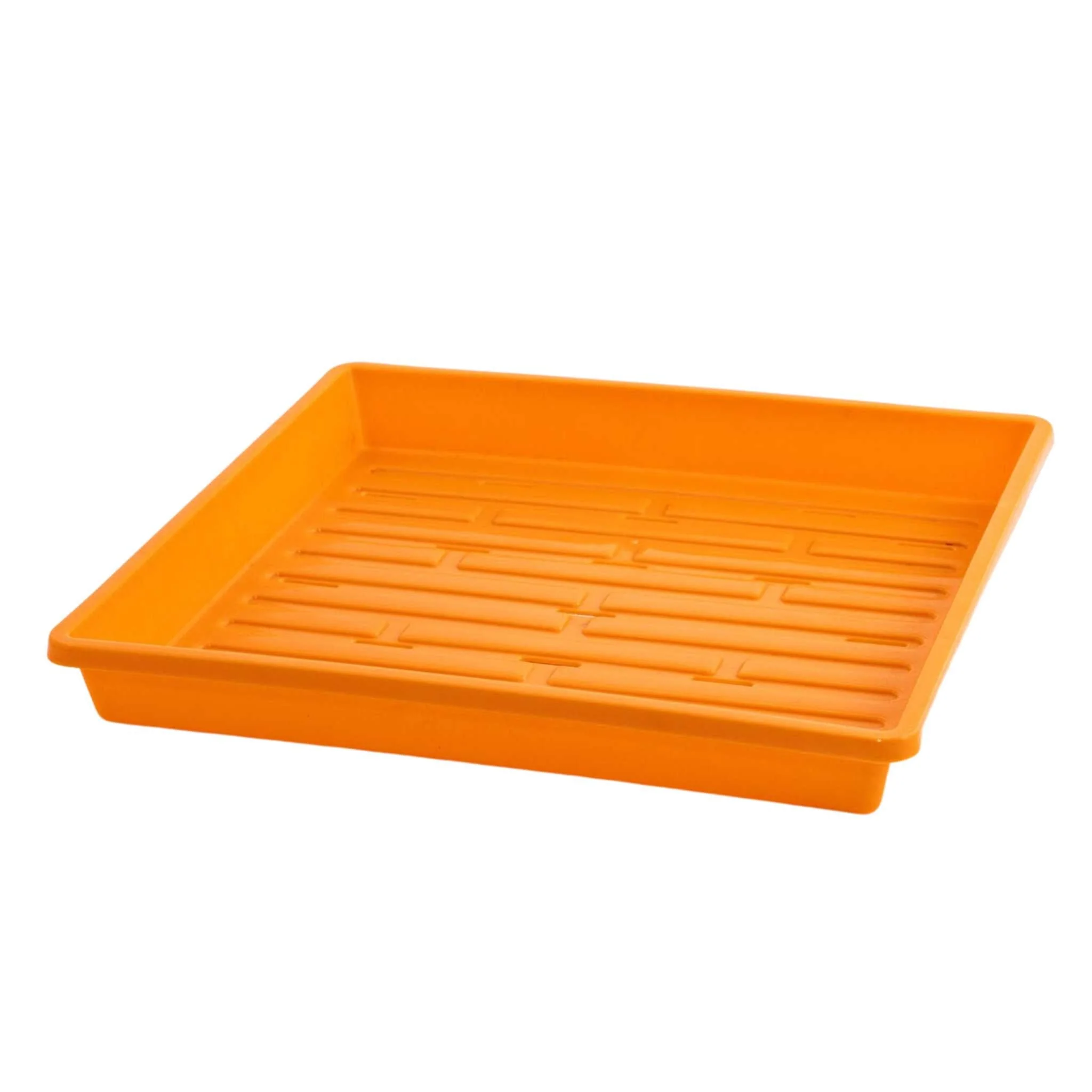 1010 Shallow Seed Trays - Image 7