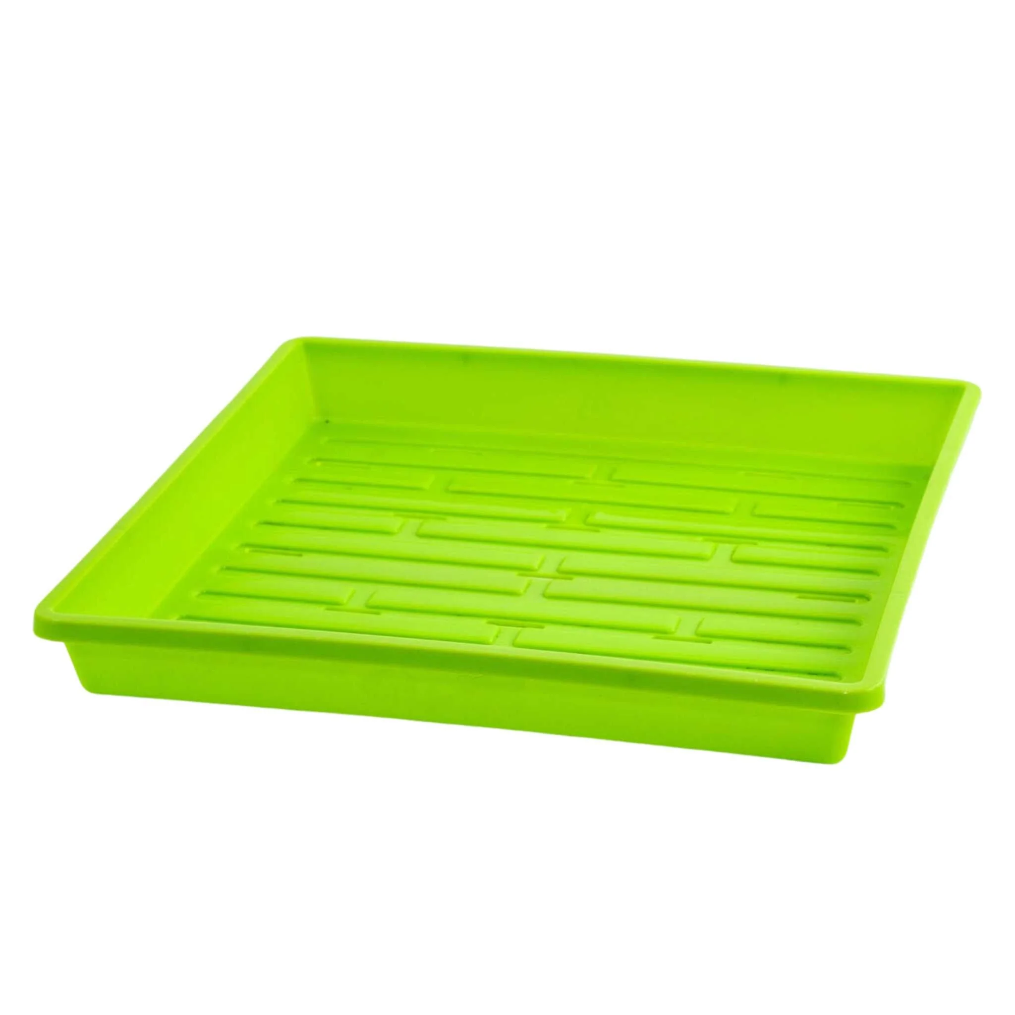 1010 Shallow Seed Trays - Image 9