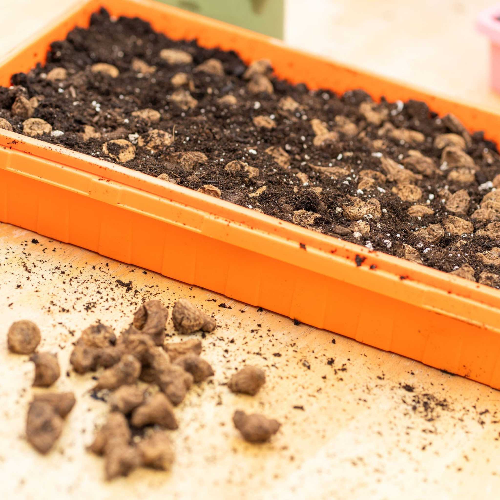 1020 Seed Starting Trays - Colored - Image 5