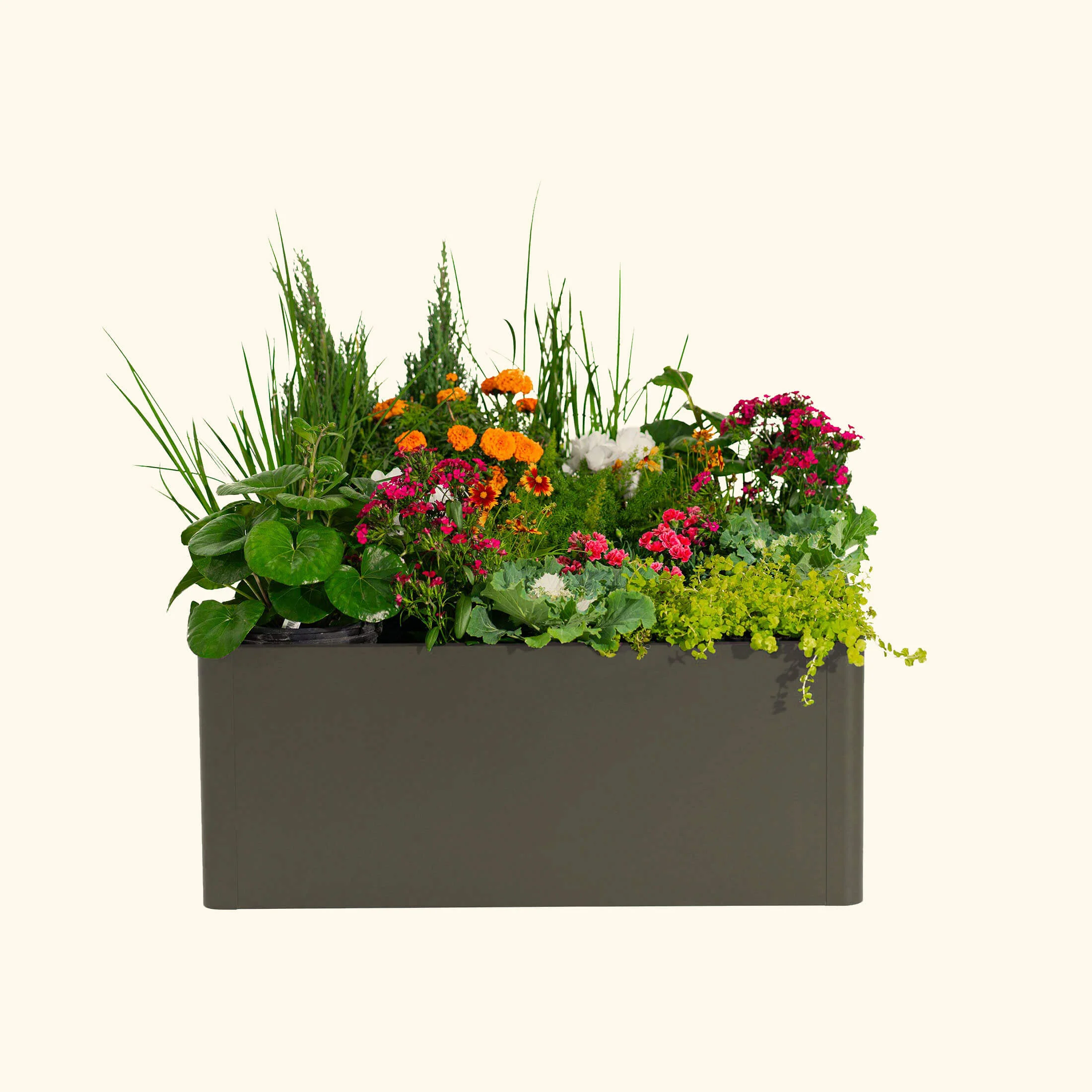 17" Tall Modern 42" x 42" Metal Raised Garden Bed - Image 23