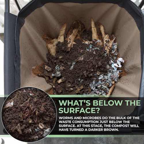 4-Pack Urban Worm Bag Version 2 - Image 12