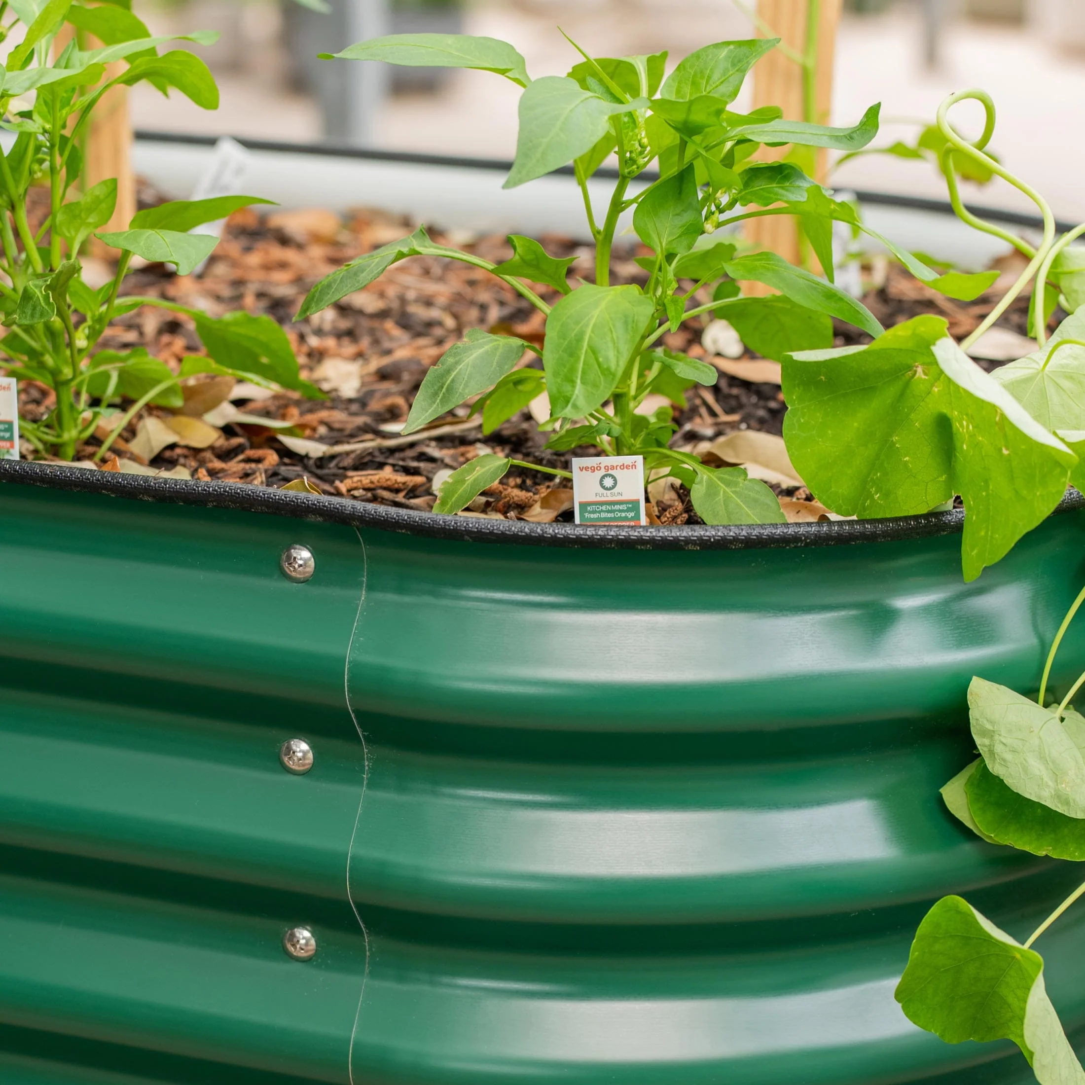 Advanced Elevated Garden Bed - Image 22