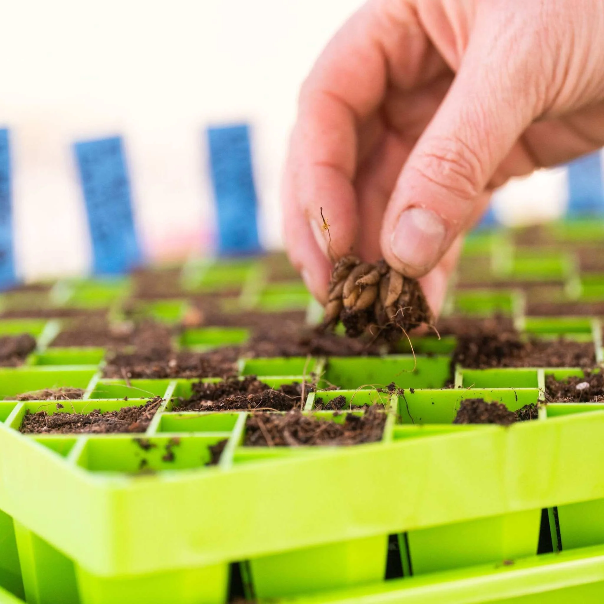 Air Prune Propagation Tray - 72 Cell - Image 14