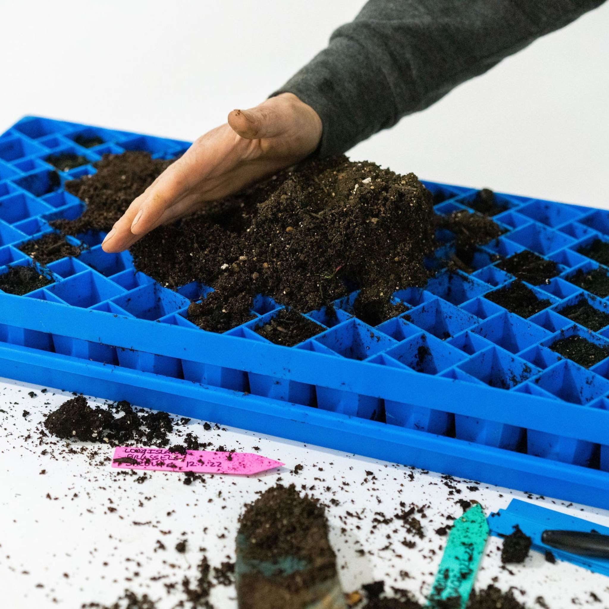 Air Prune Propagation Tray - 72 Cell - Image 20