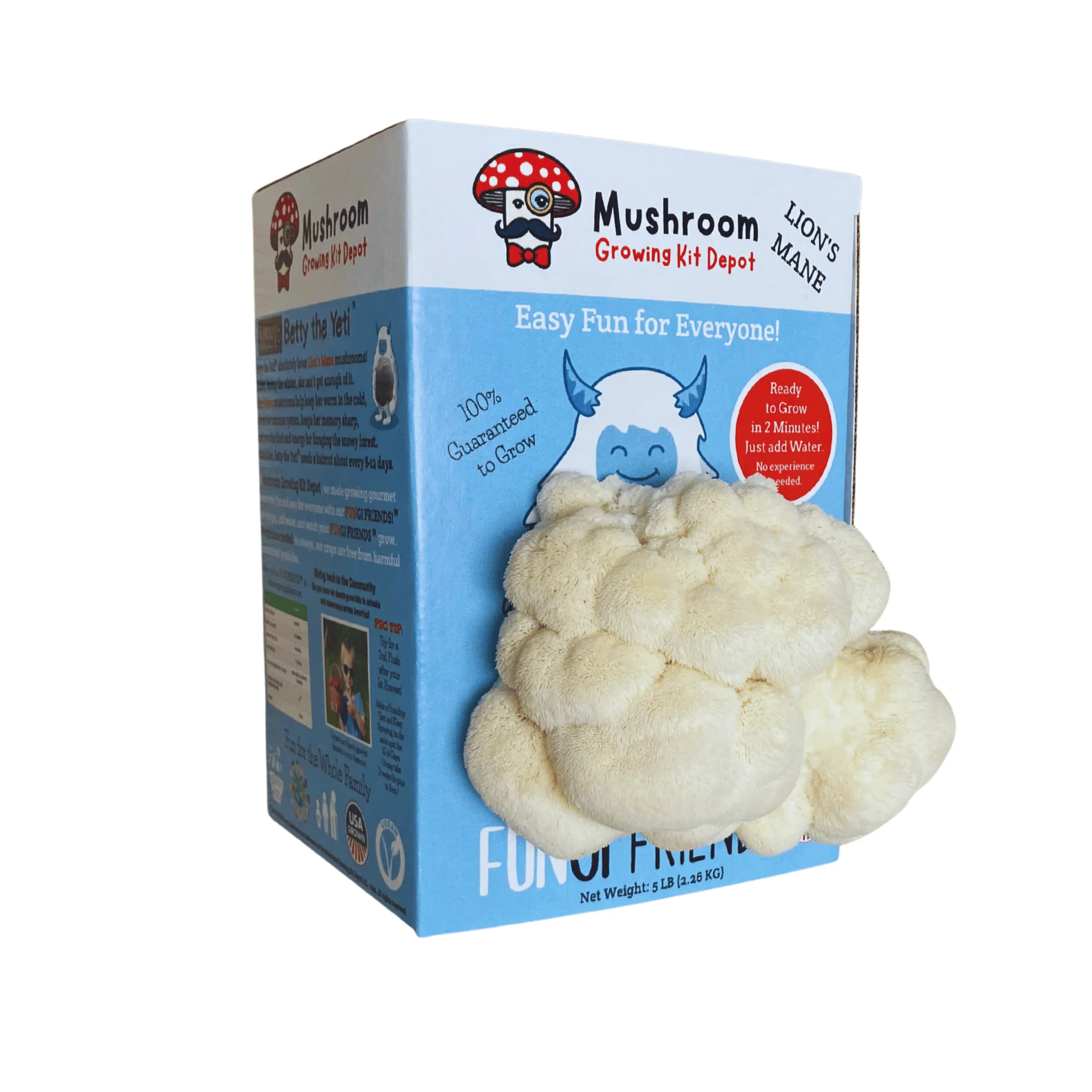 Betty the Yeti - Lion's Mane Mushroom Grow Kit - 5 LBS (with box) - Image 3