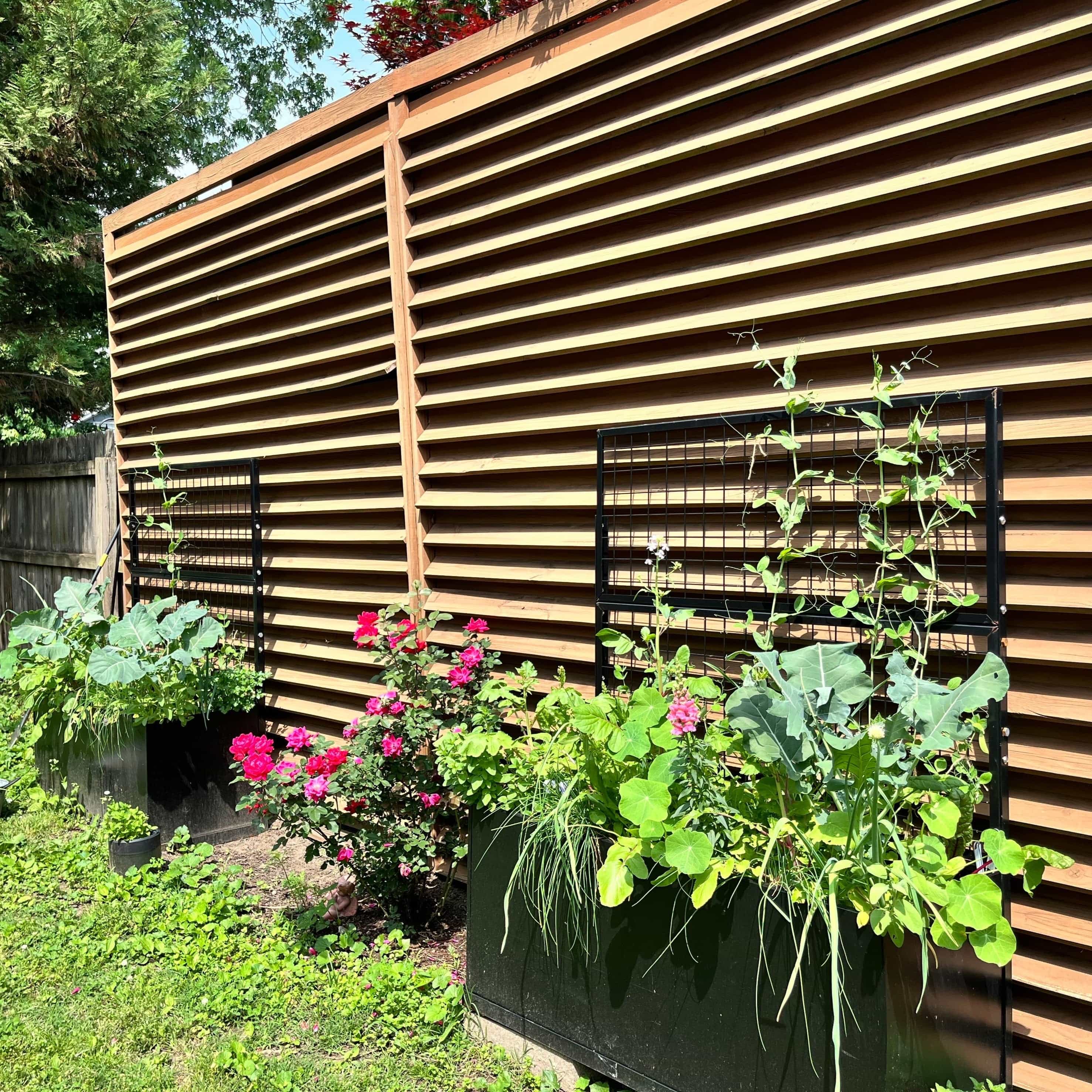 Black Aluminum Raised Bed with Trellis – Optional Casters - Image 8