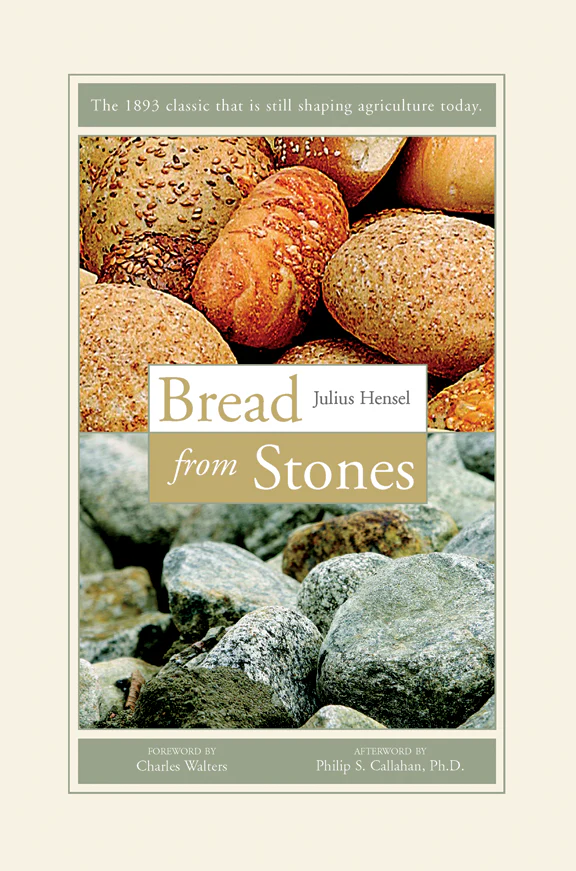 Bread From Stones