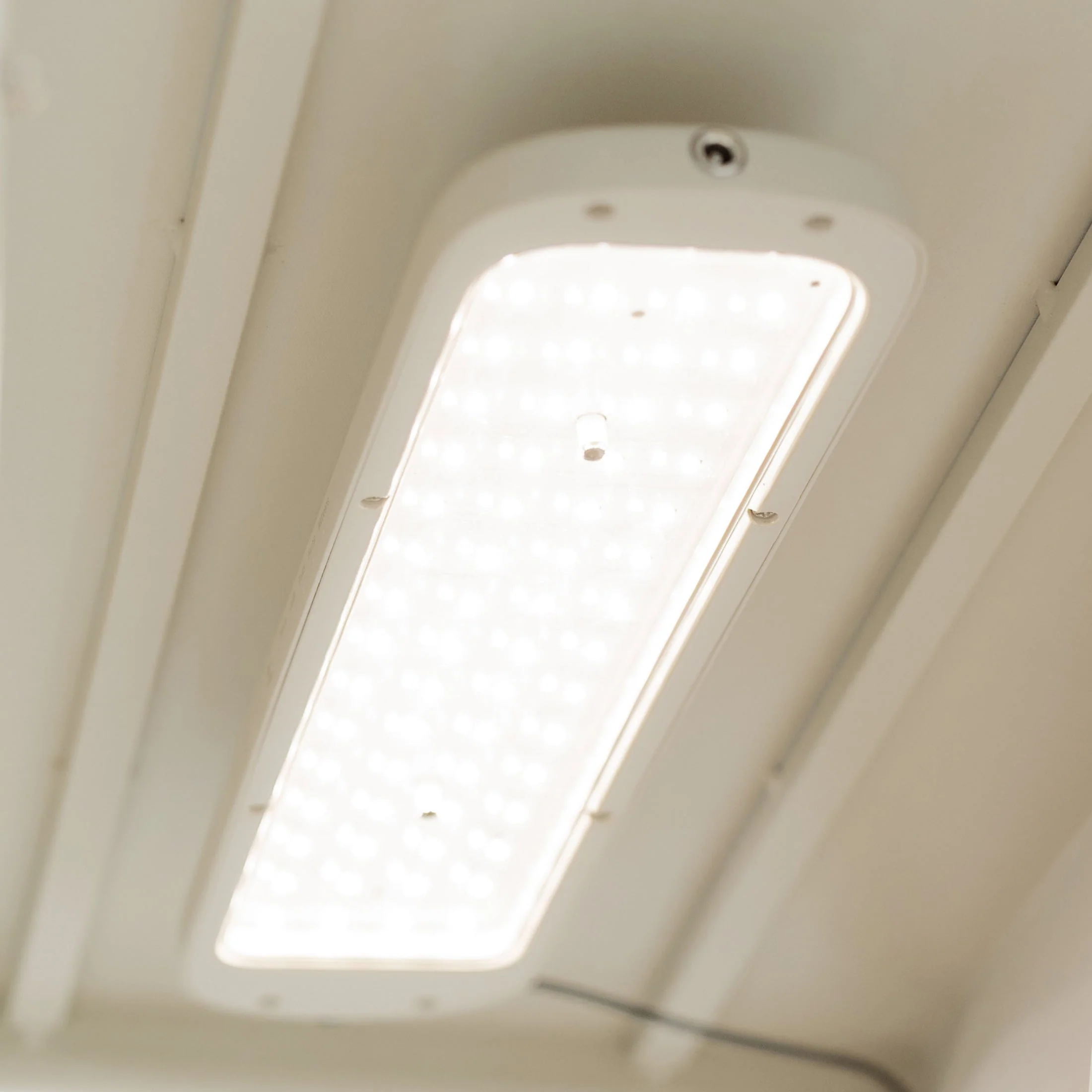 Classic Grow Light - Image 9