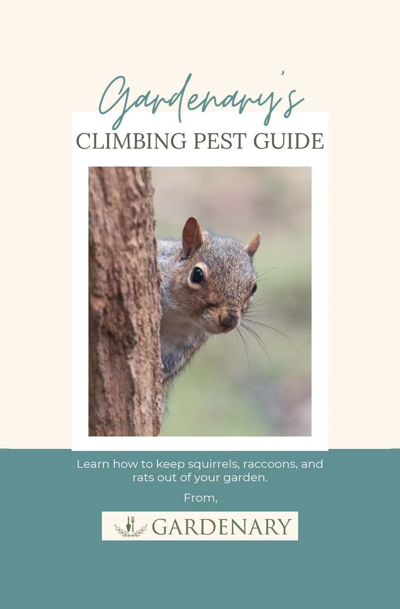 Climbing Pests Booklet