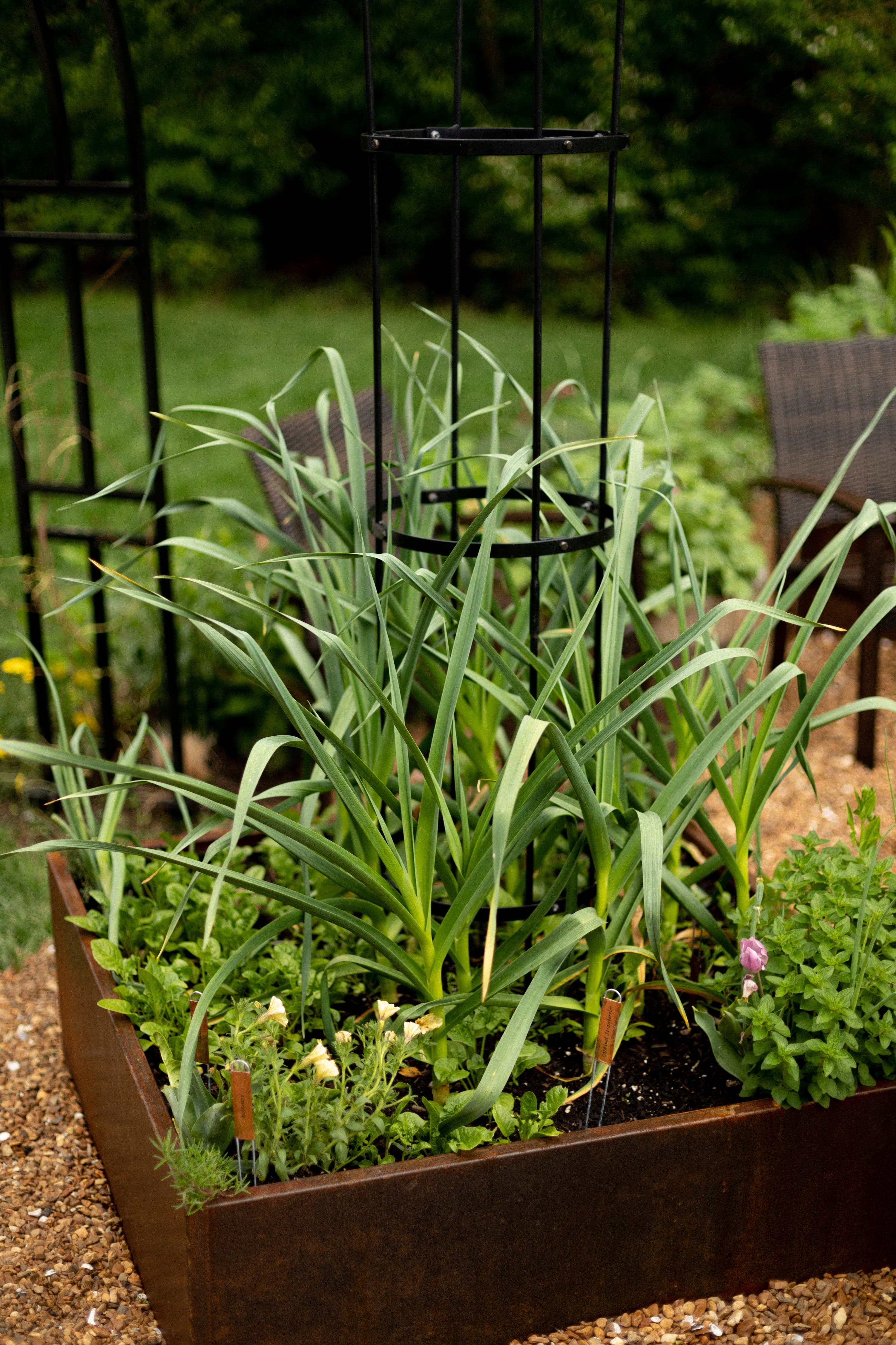 Corten Steel Raised Garden Bed - Image 6