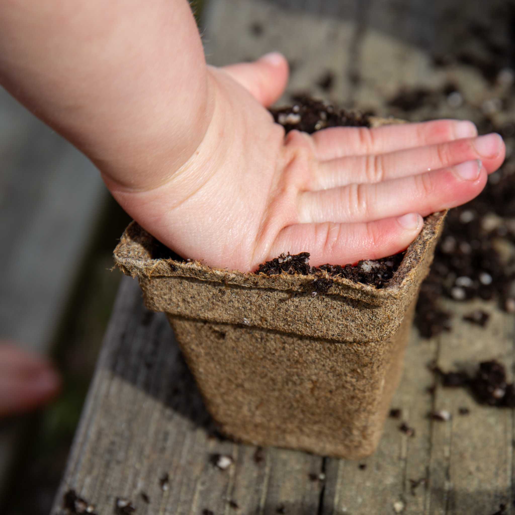 CowPots® Starter Kit - Image 2