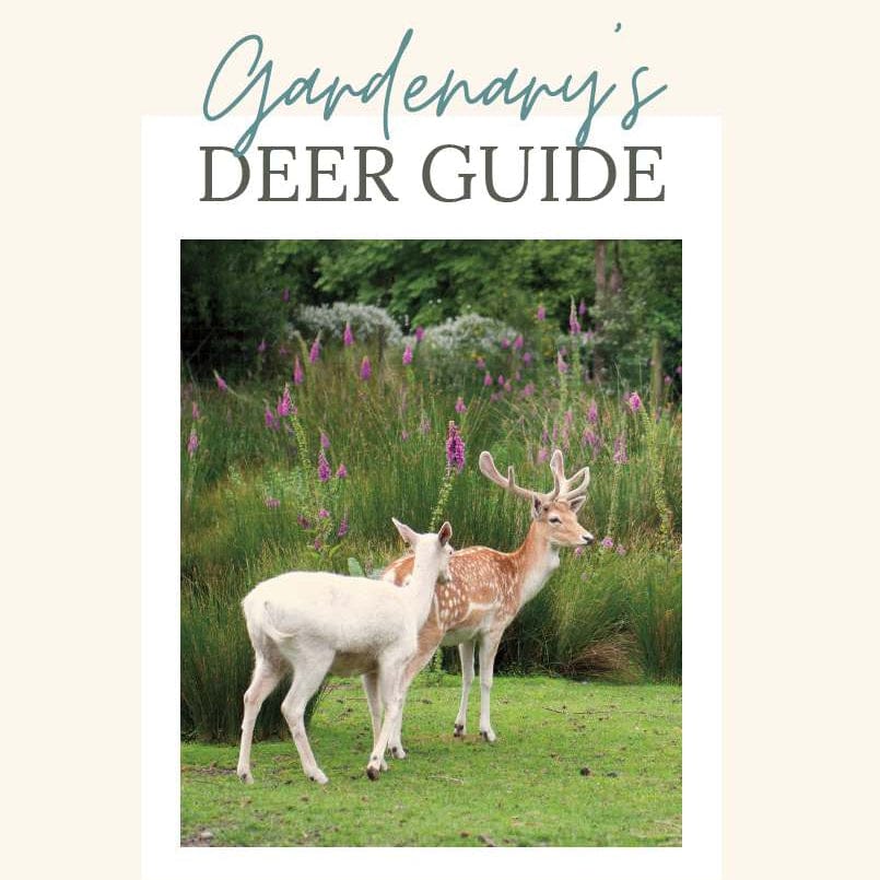 Deer Pest Guide Booklet