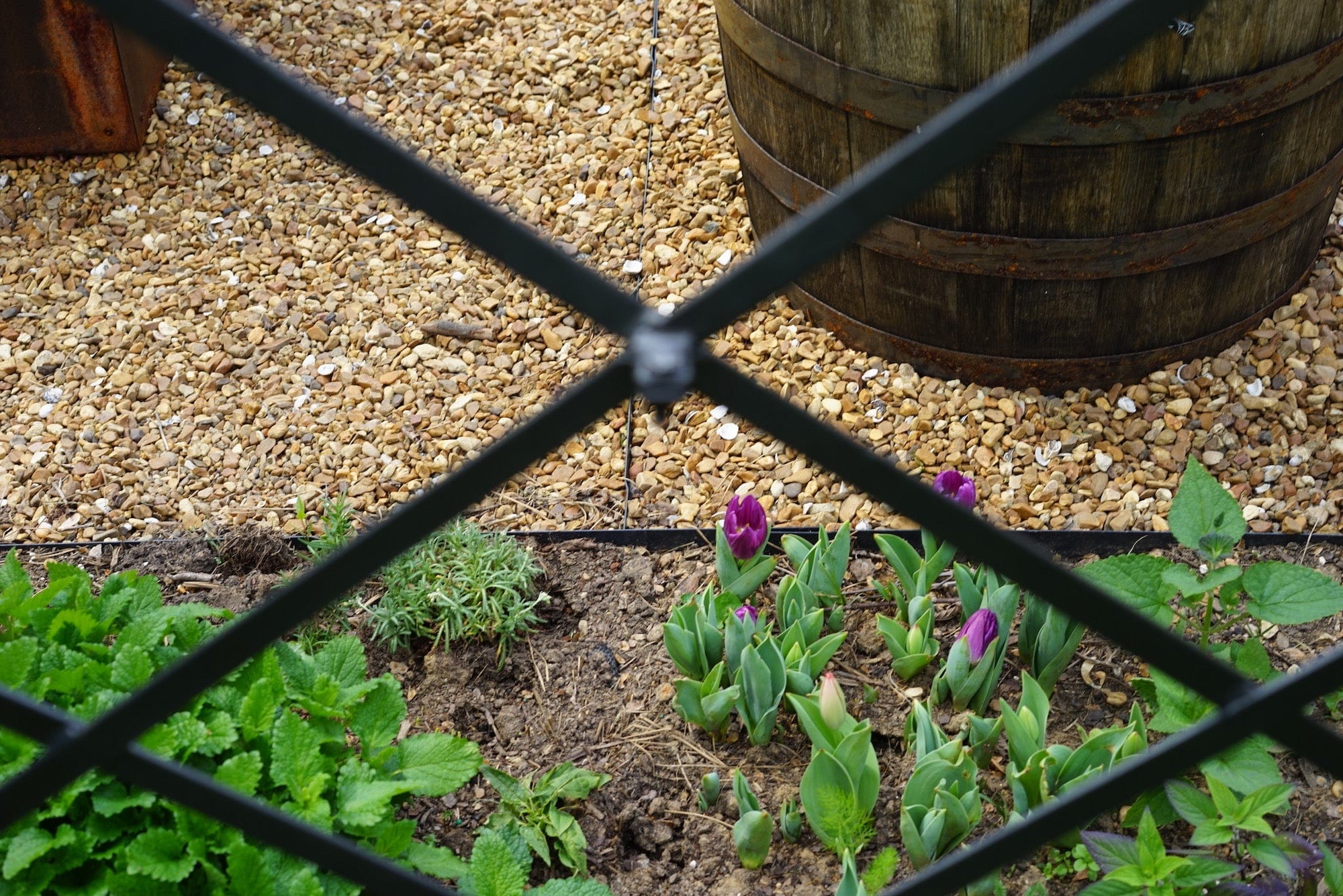 Diamond Panel Trellis - Image 5