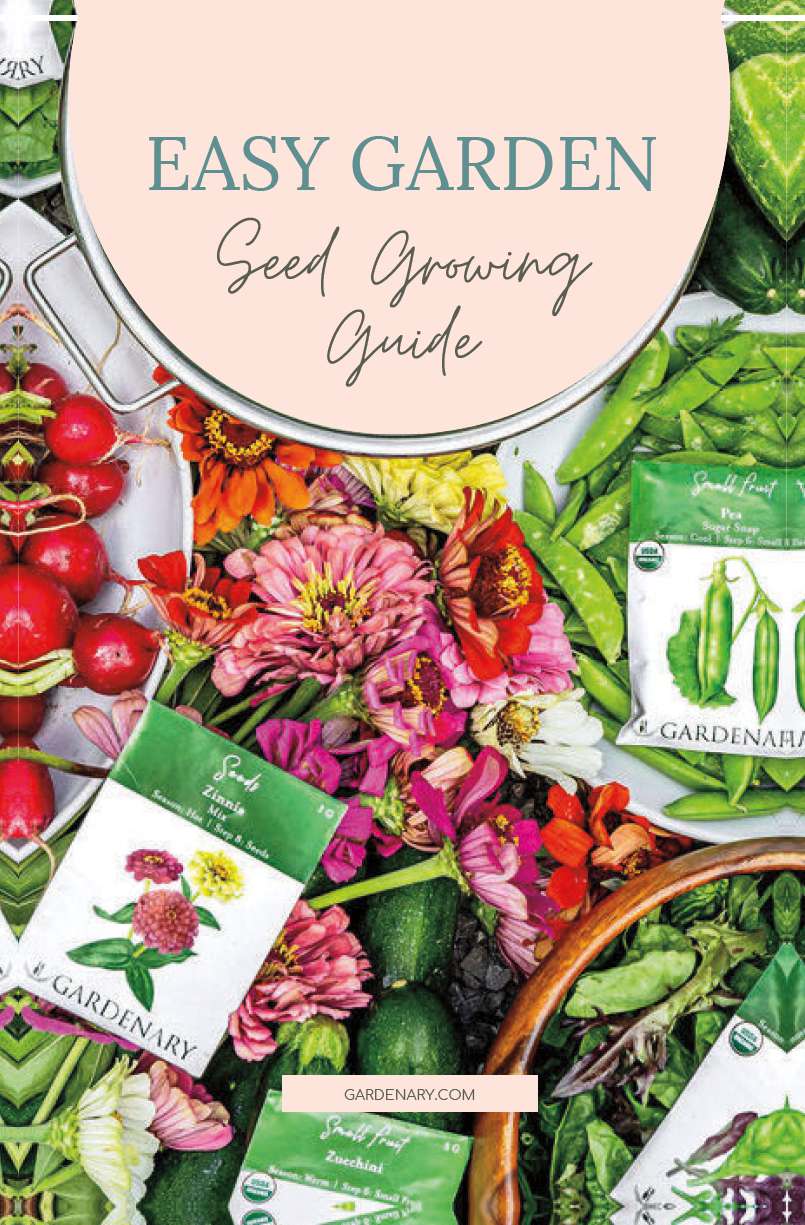 Easy Garden Seed Growing Guide