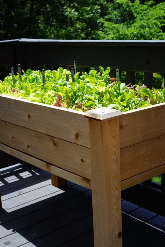 Elevated Cedar Raised Bed Planter - Image 2