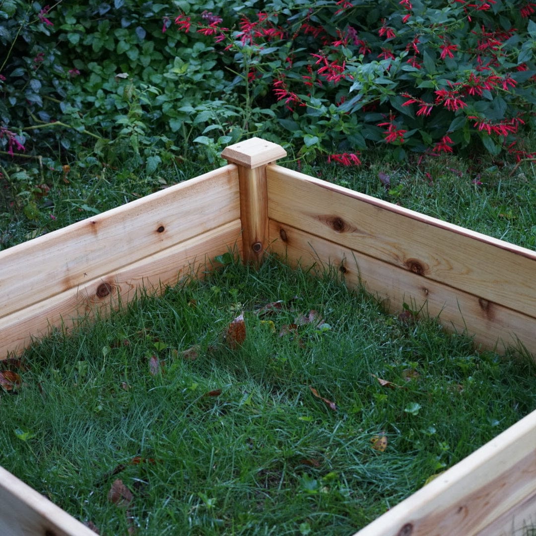 Gardenary 4x4 Starter Cedar Raised Bed - Image 7