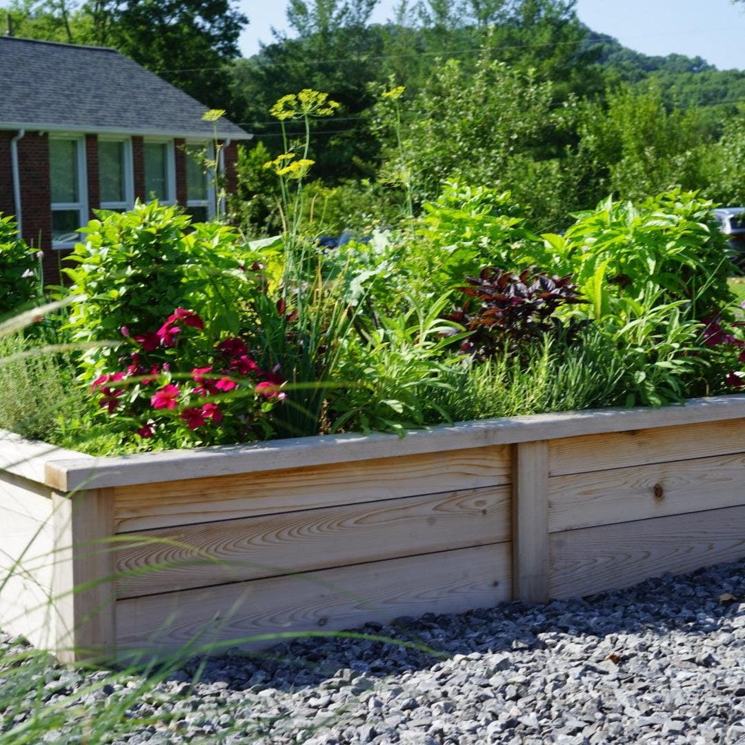 Gardenary Cedar Raised Garden Beds with Trim - Image 8