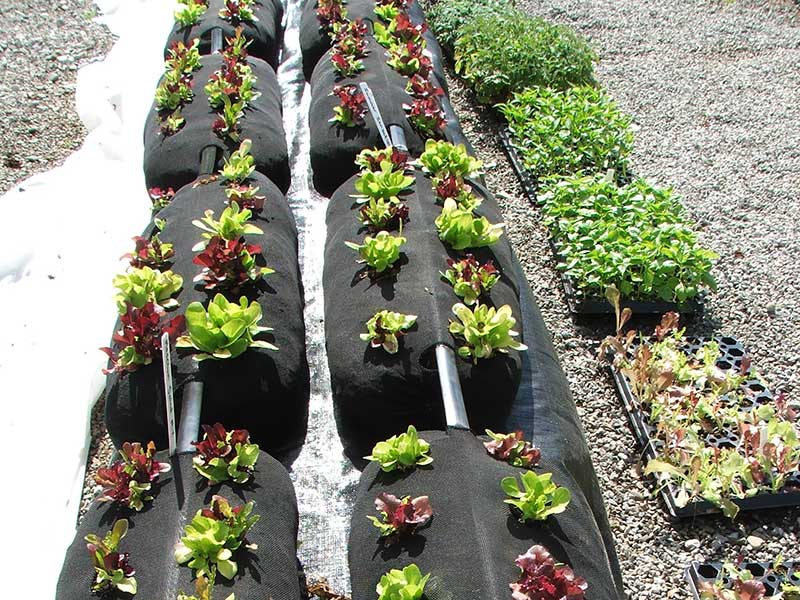 GardenSoxx® Kit - Image 8