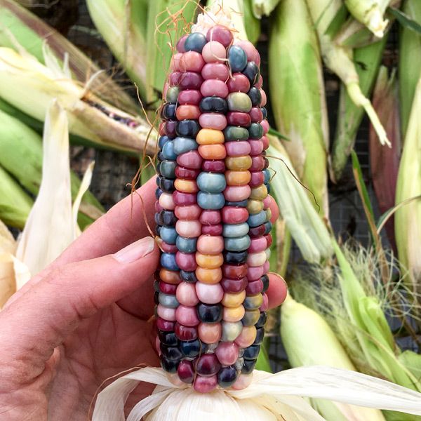 Glass Gem Popcorn - Image 3