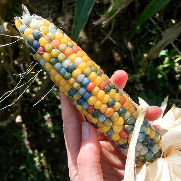 Glass Gem Popcorn - Image 4
