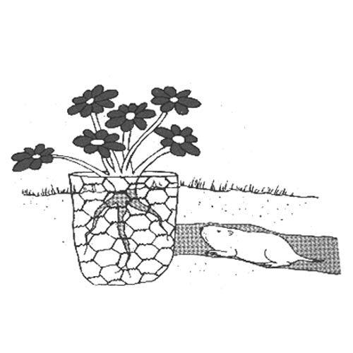 Gopher Wire (4' x 100' roll) - Image 2