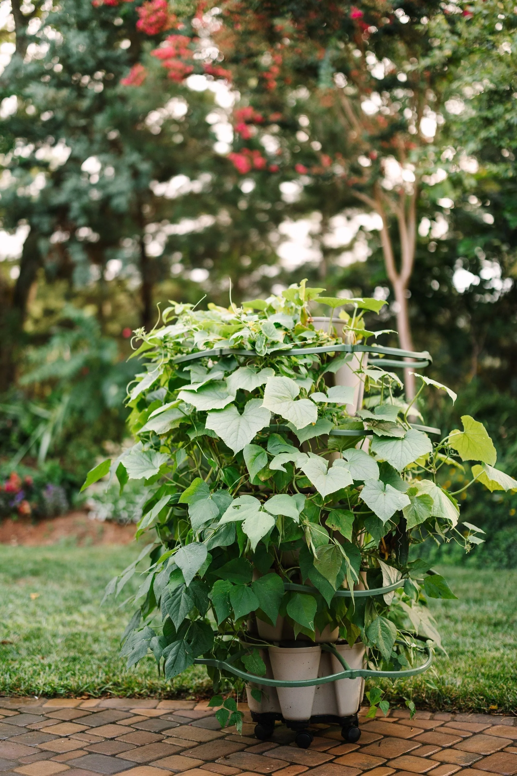 GreenStalk Garden Mover - Image 6