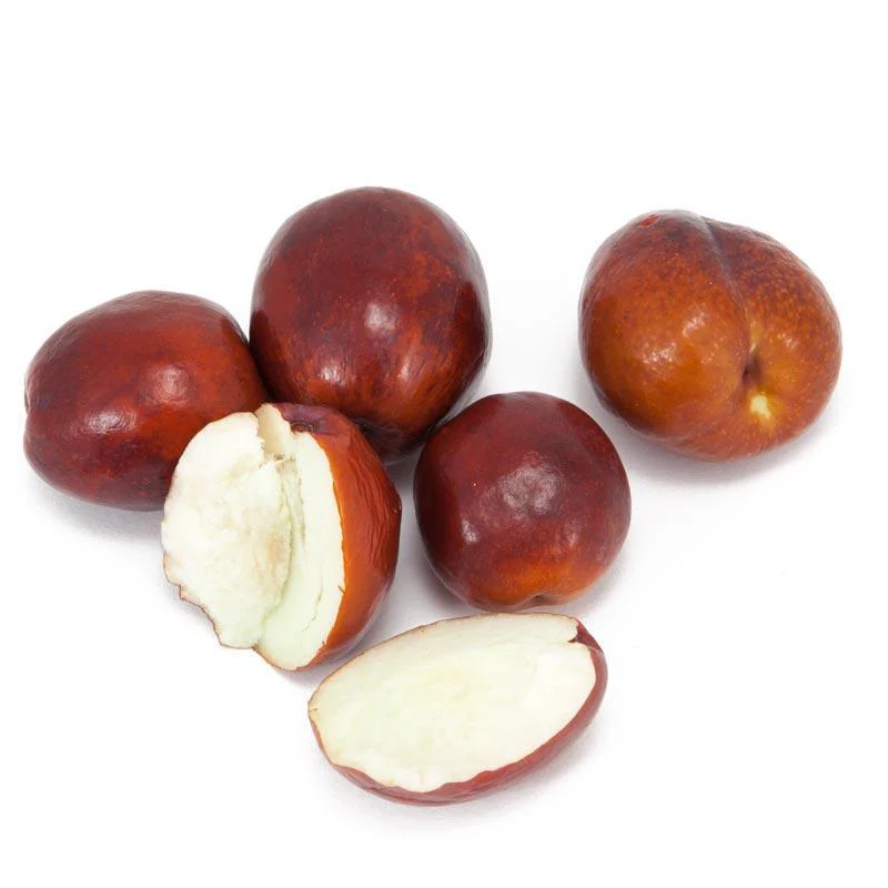 Li Jujube Tree - Image 2