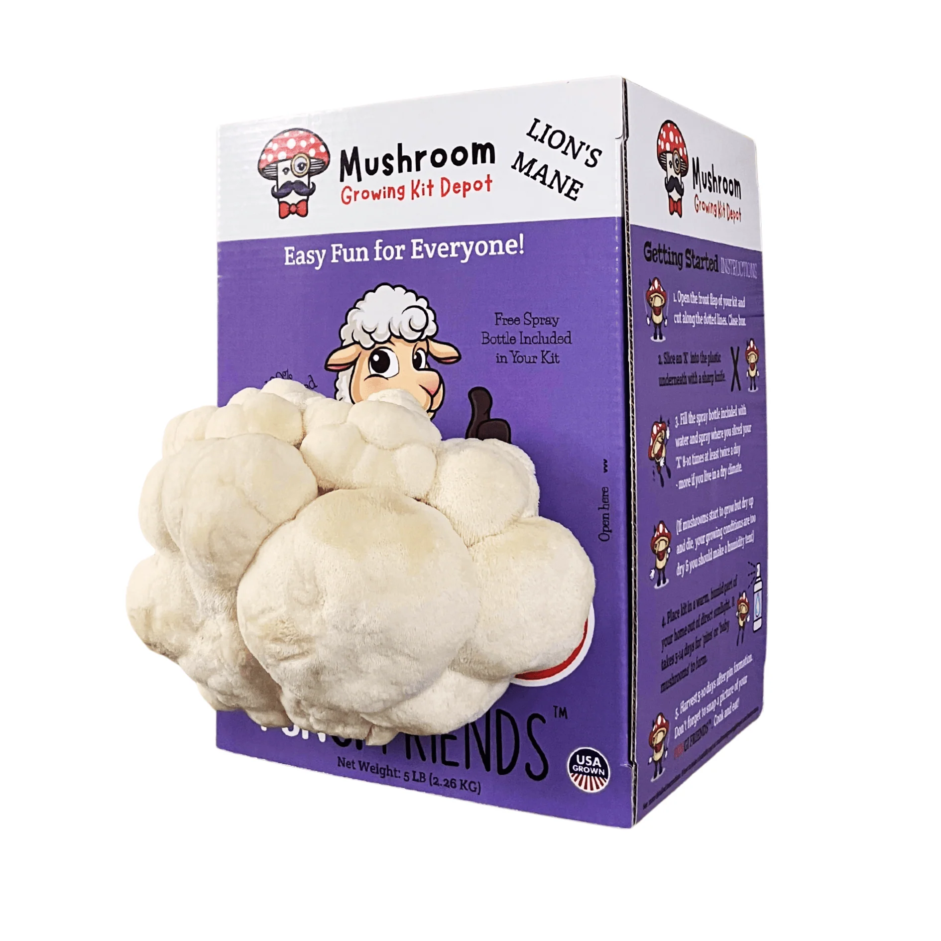 Lil Musheep - Lion's Mane Mushroom Grow Kit - 5 LBS (with box) - Image 4