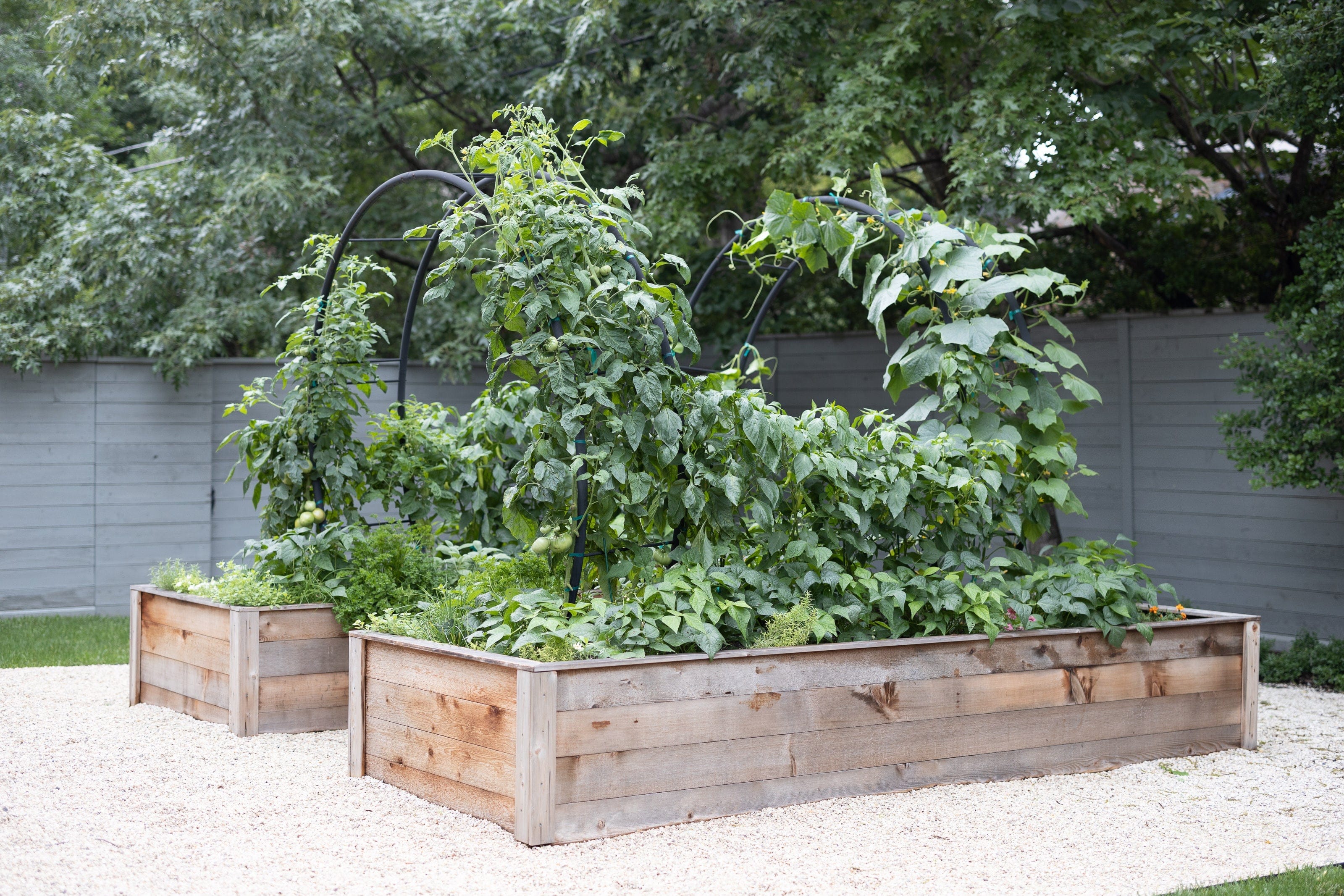 Modern Arch Trellis - Image 4