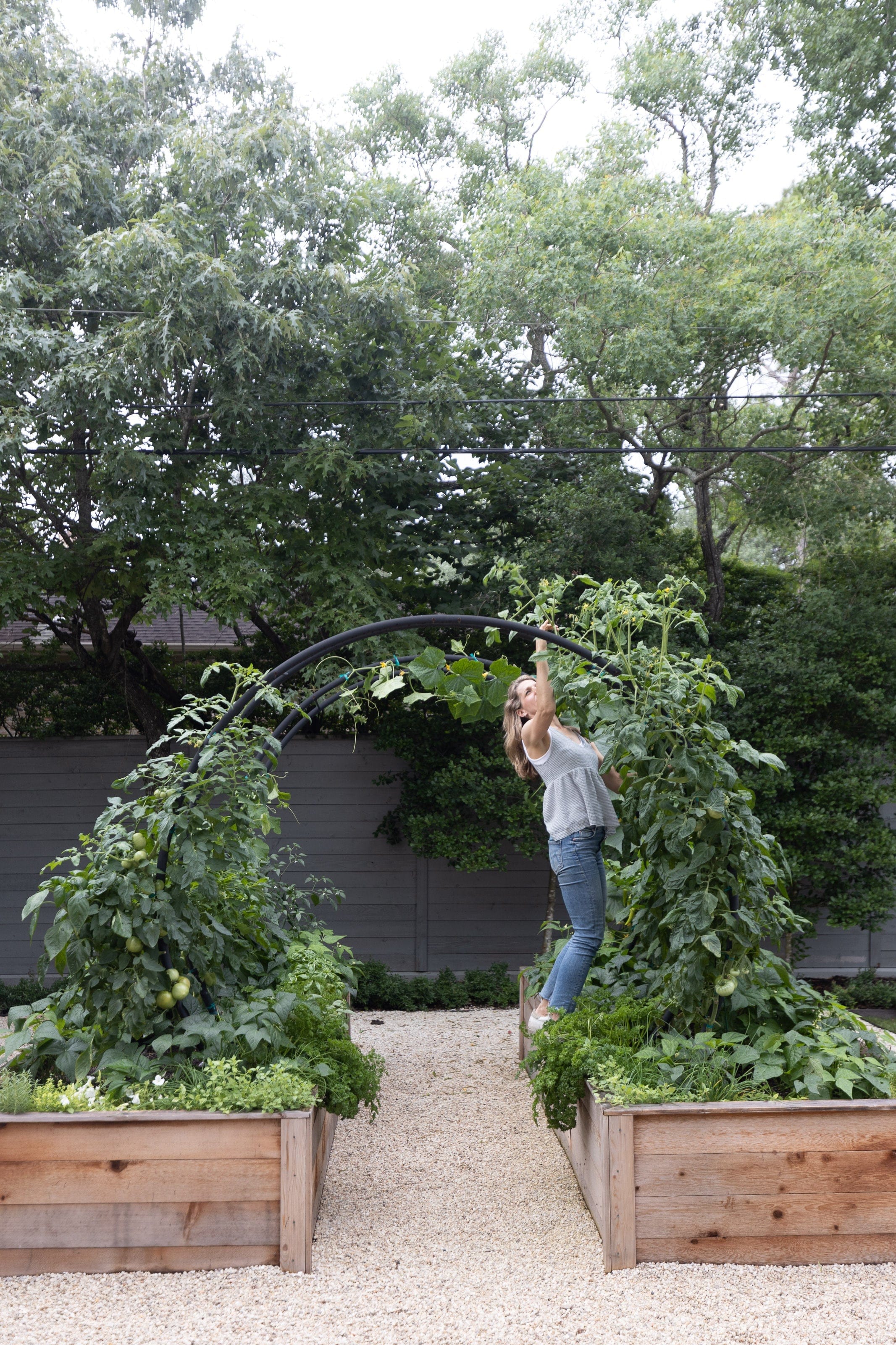 Modern Arch Trellis - Image 5
