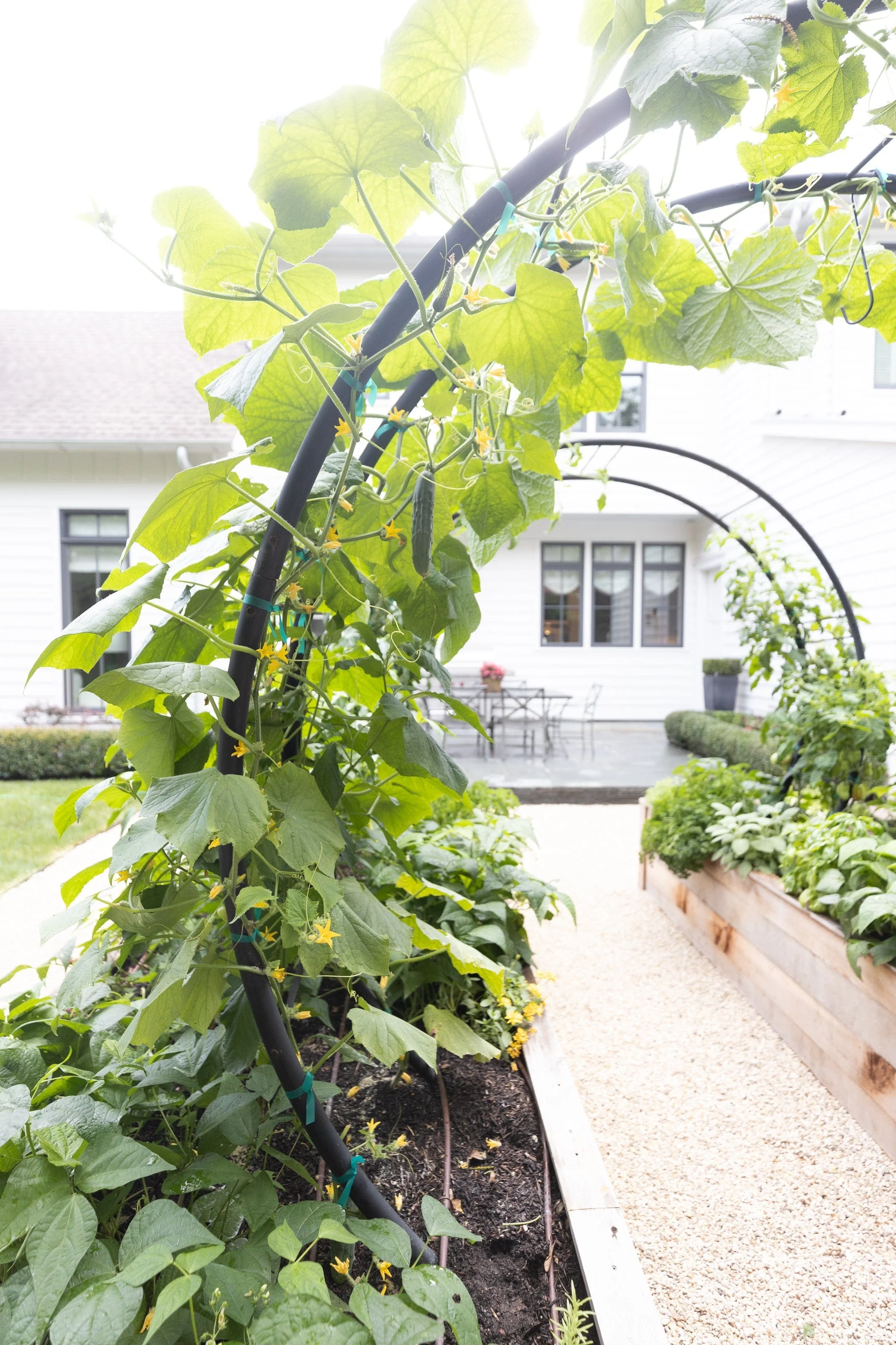 Modern Arch Trellis - Image 8
