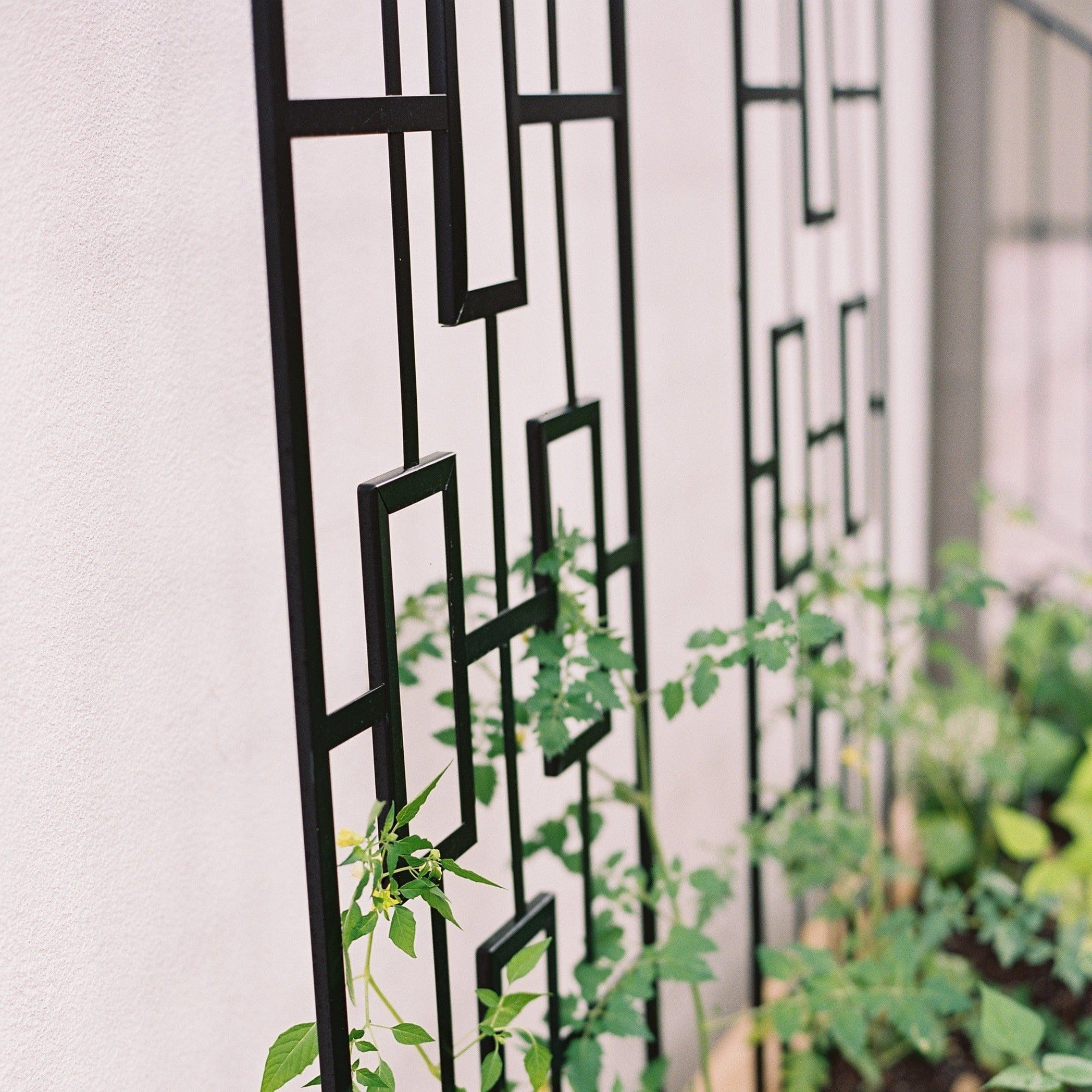 Modern Panel Trellis - Image 4