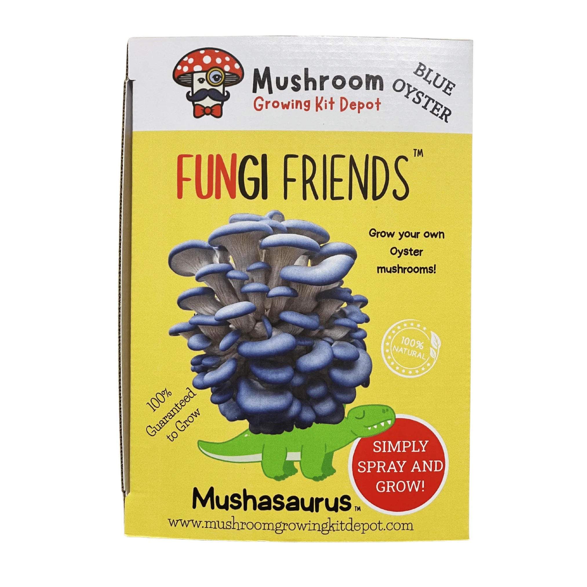 Mushasaurus - Blue Oyster Mushroom Grow Kit - 5 LBS (with box) - Image 2