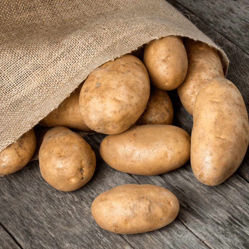 Burbank Russet Seed Potato (lb)