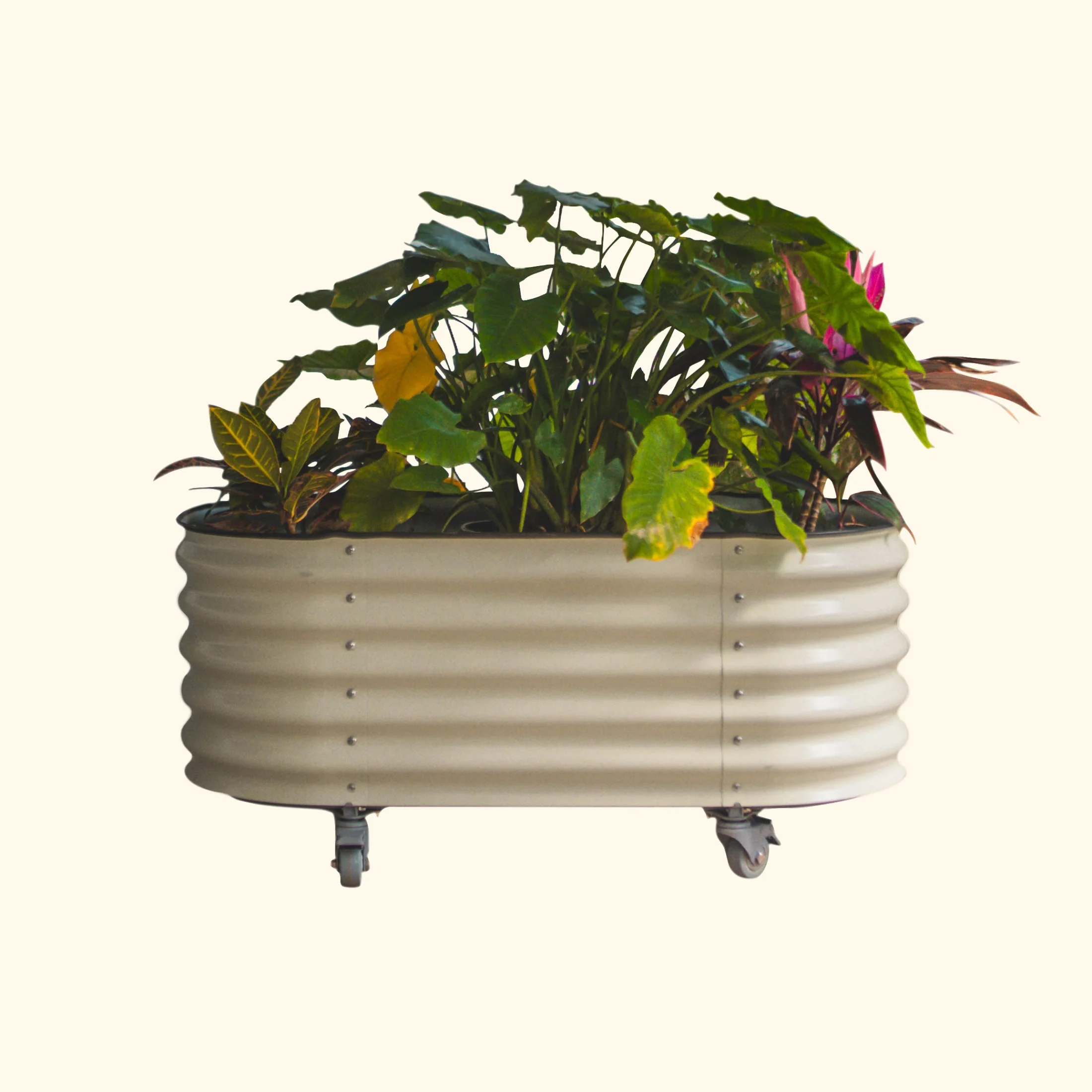 Self-Watering Rolling Garden Bed - 2' x 4'