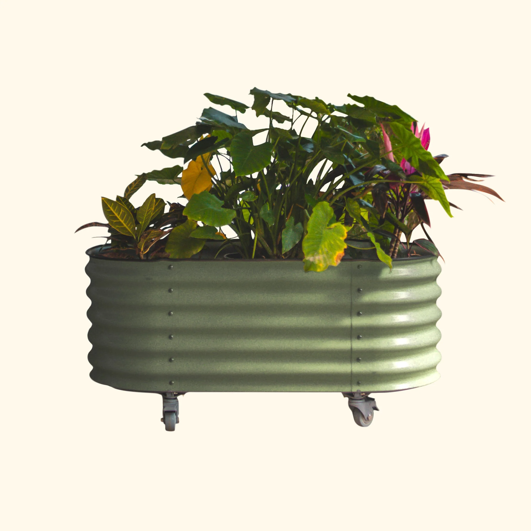 Self-Watering Rolling Garden Bed - 2' x 6' - Image 2