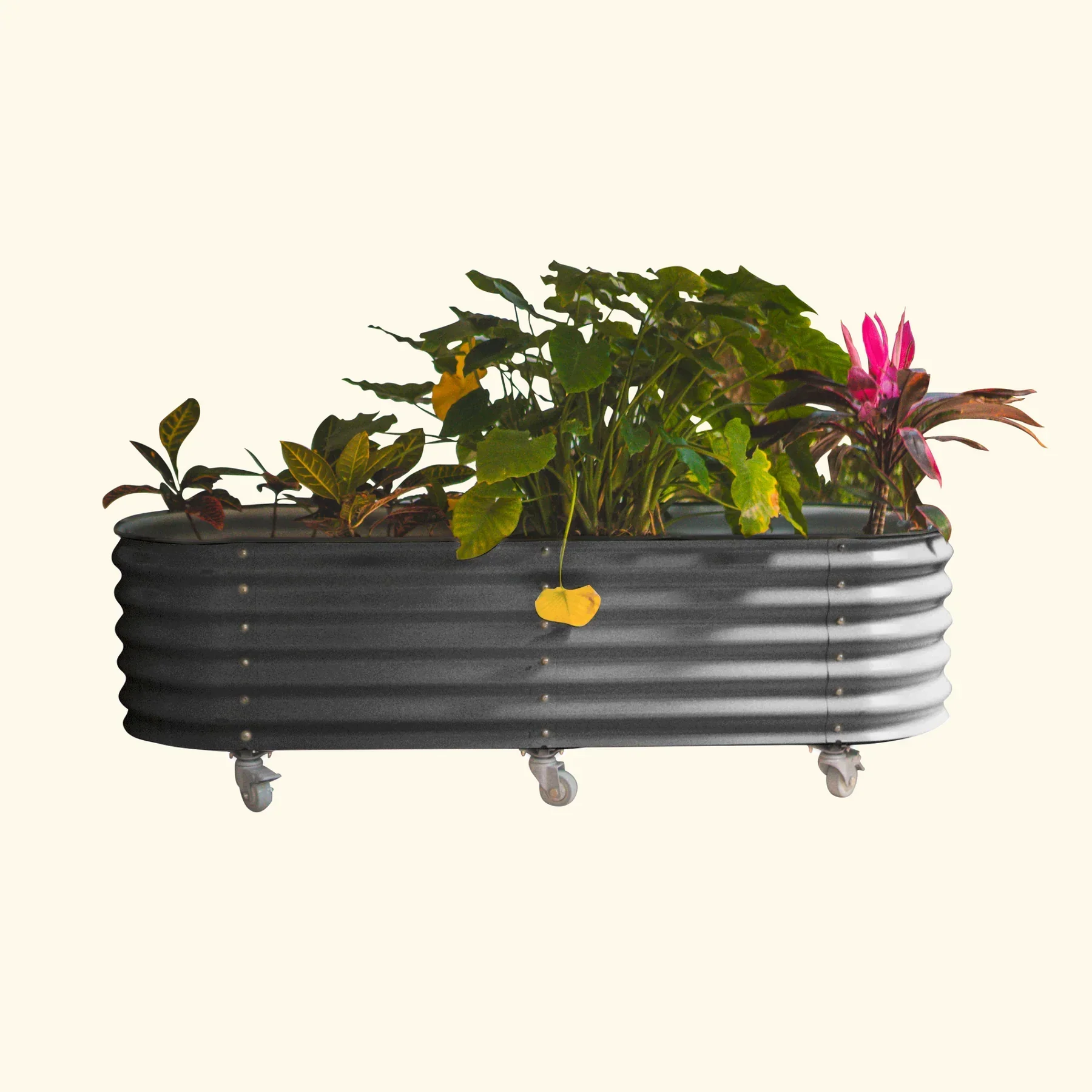 Self-Watering Rolling Garden Bed - 2' x 6' - Image 6