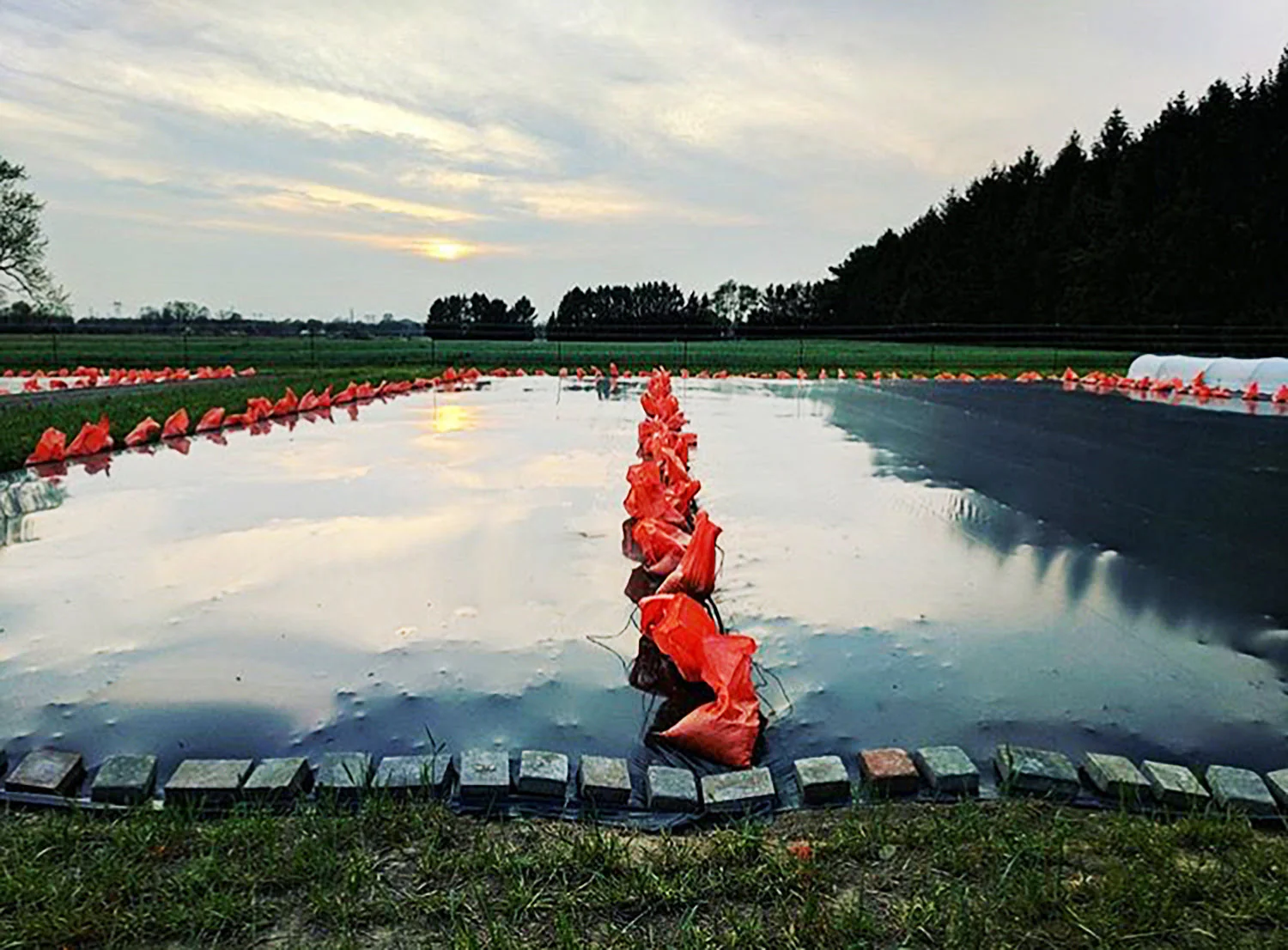 Silage Tarp - Image 8