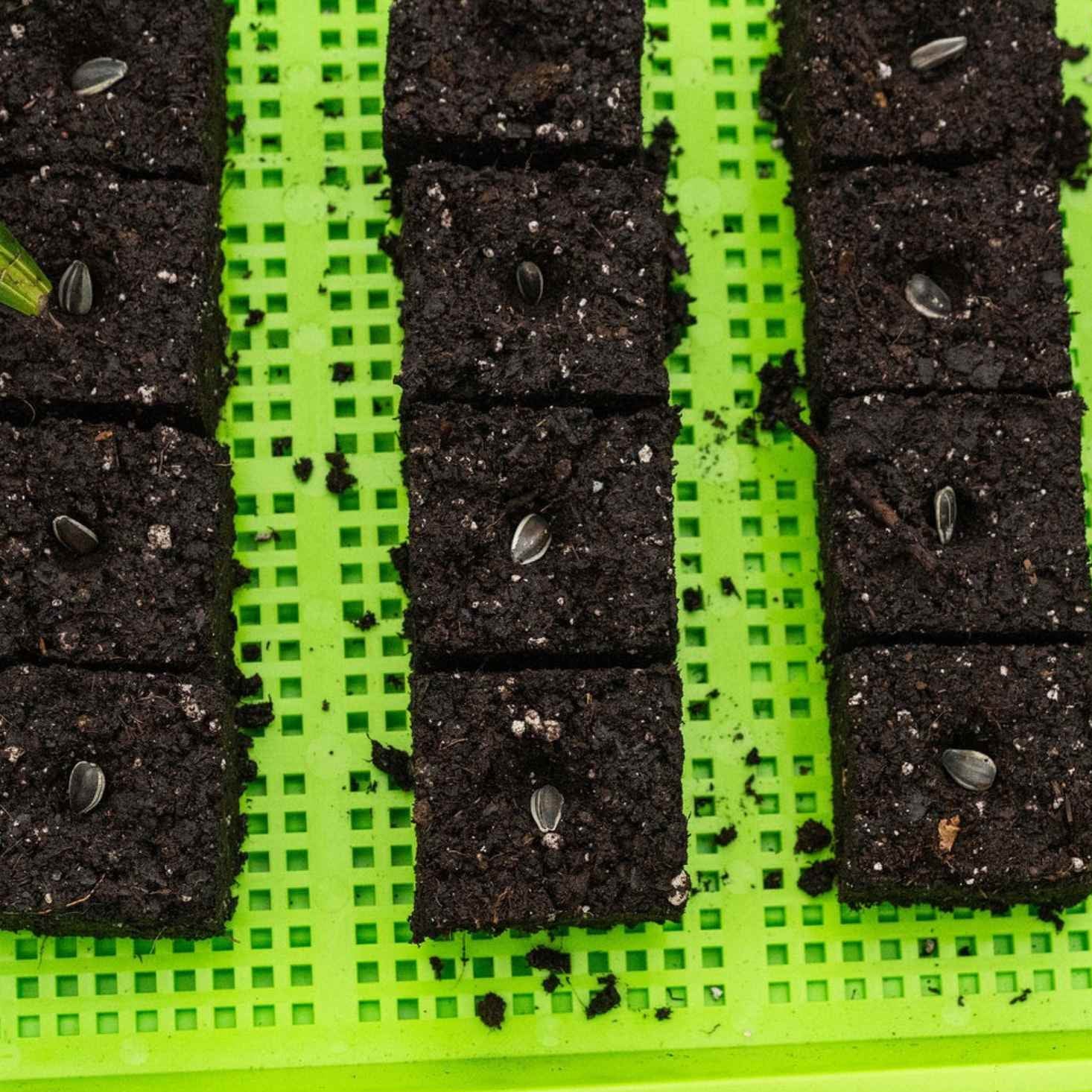 Soil Blocking Starter Kit - Image 4