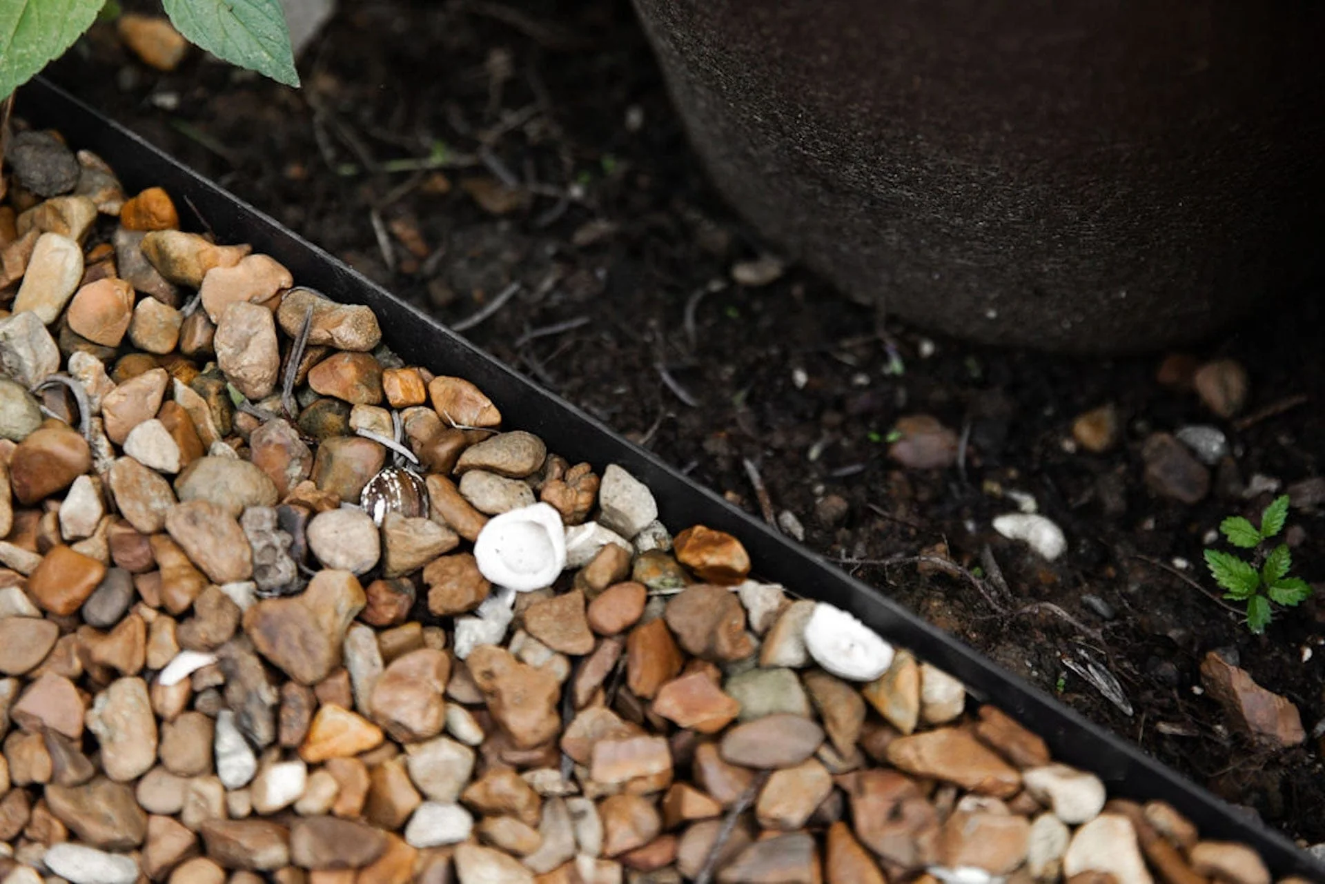 Steel Edging for Kitchen Gardens - Image 8