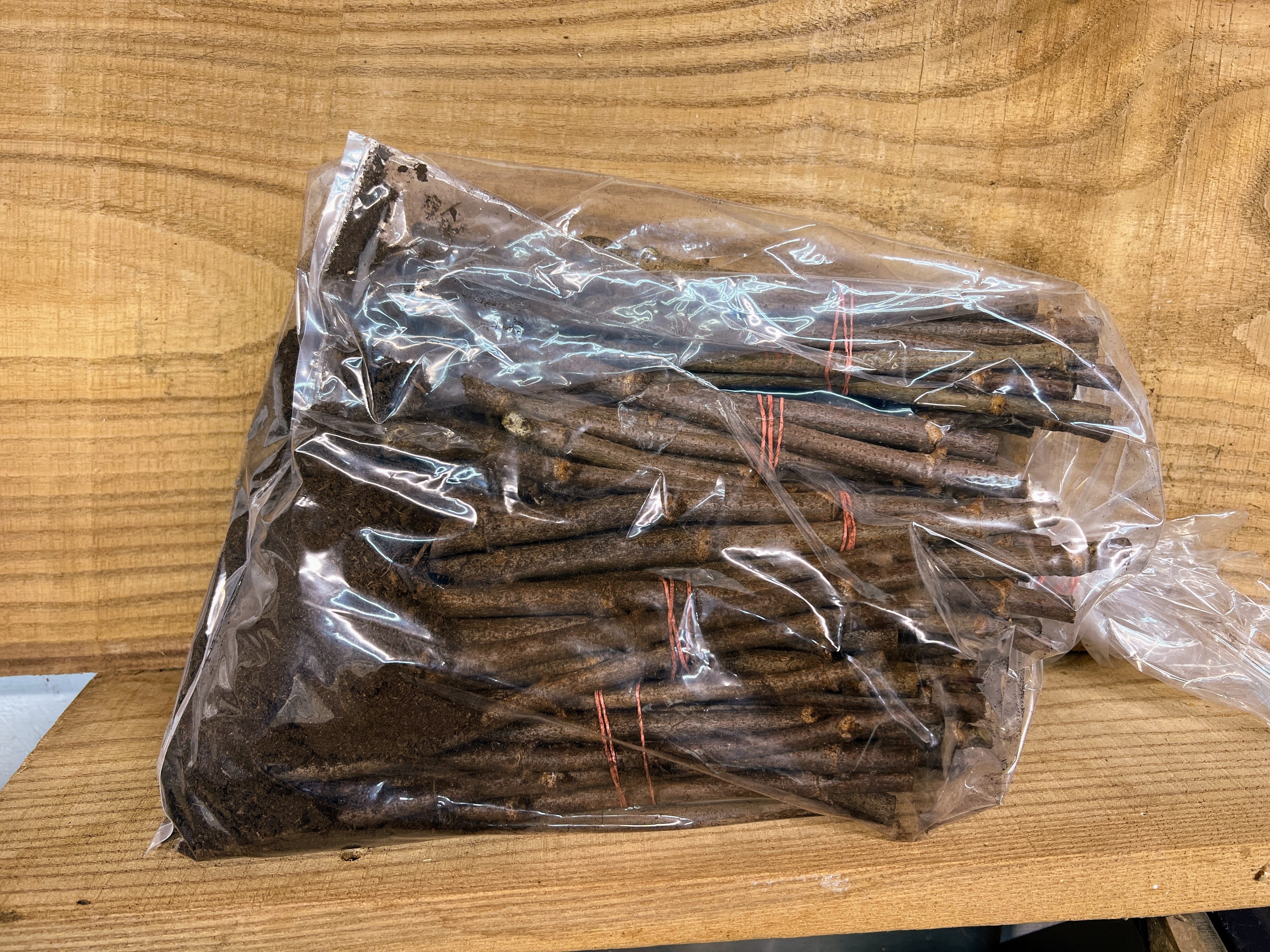 Wyldewood Elderberry - Image 4